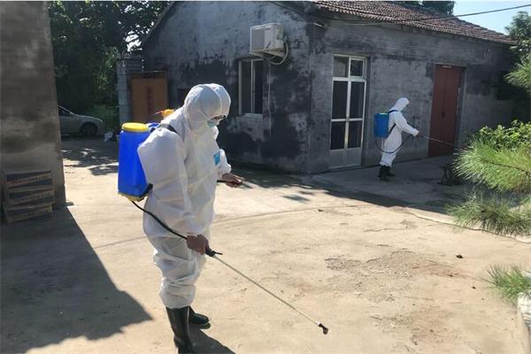 臺風洪水過后如何去預防動物疾病