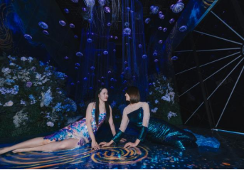 1649397481313888.png image.png